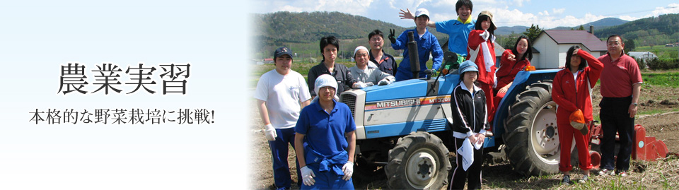 農業実習　本格的な野菜栽培に挑戦！