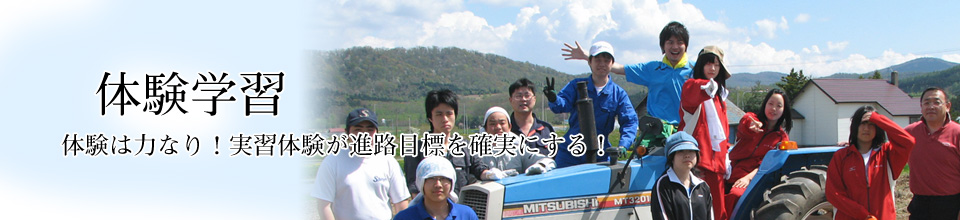 体験学習